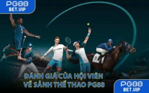 Đánh giá của hội viên về sảnh thể thao PG88