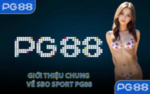 Giới thiệu chung về SBO Sport PG88